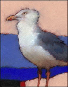 herring gull one 25·30
£200